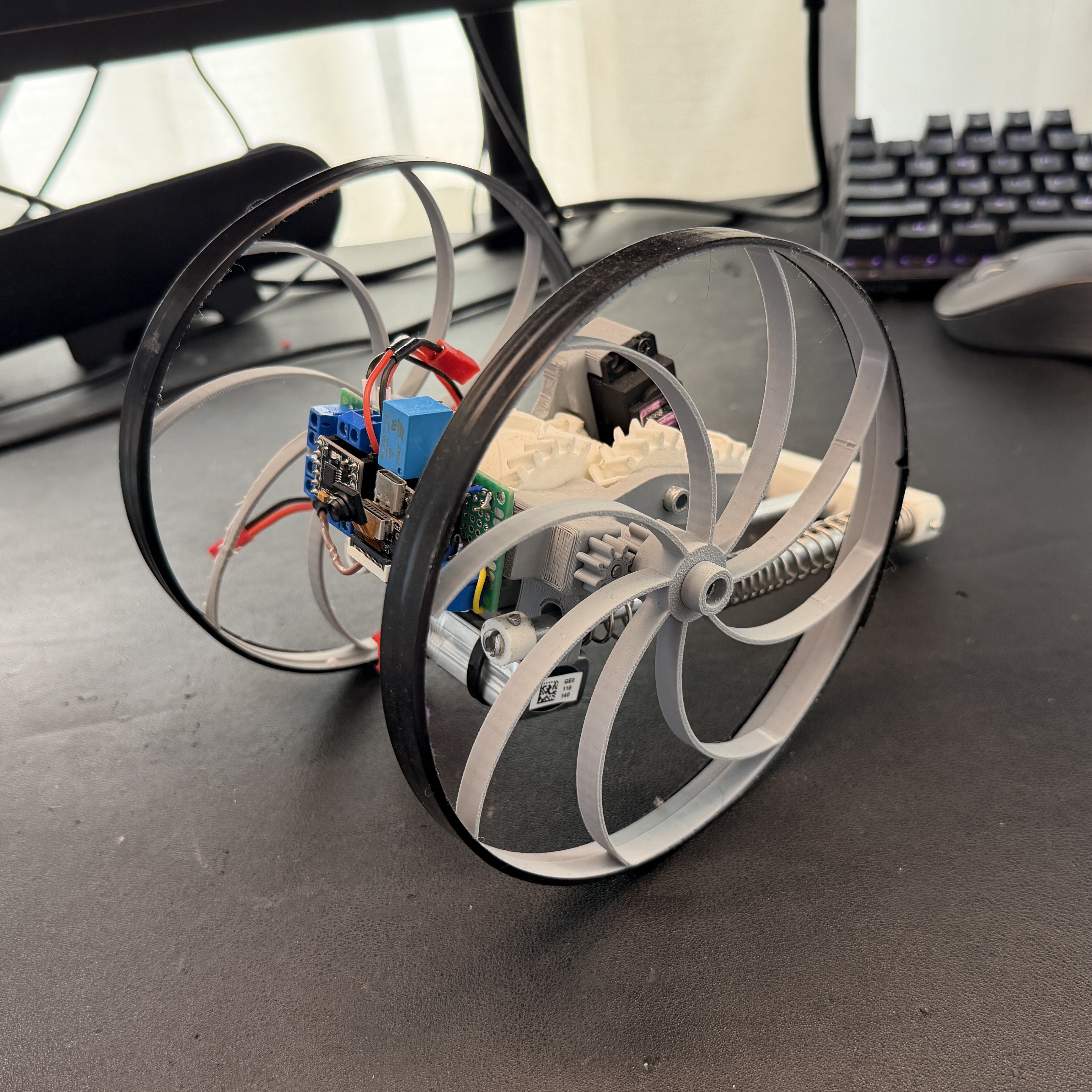 Jumping Robot