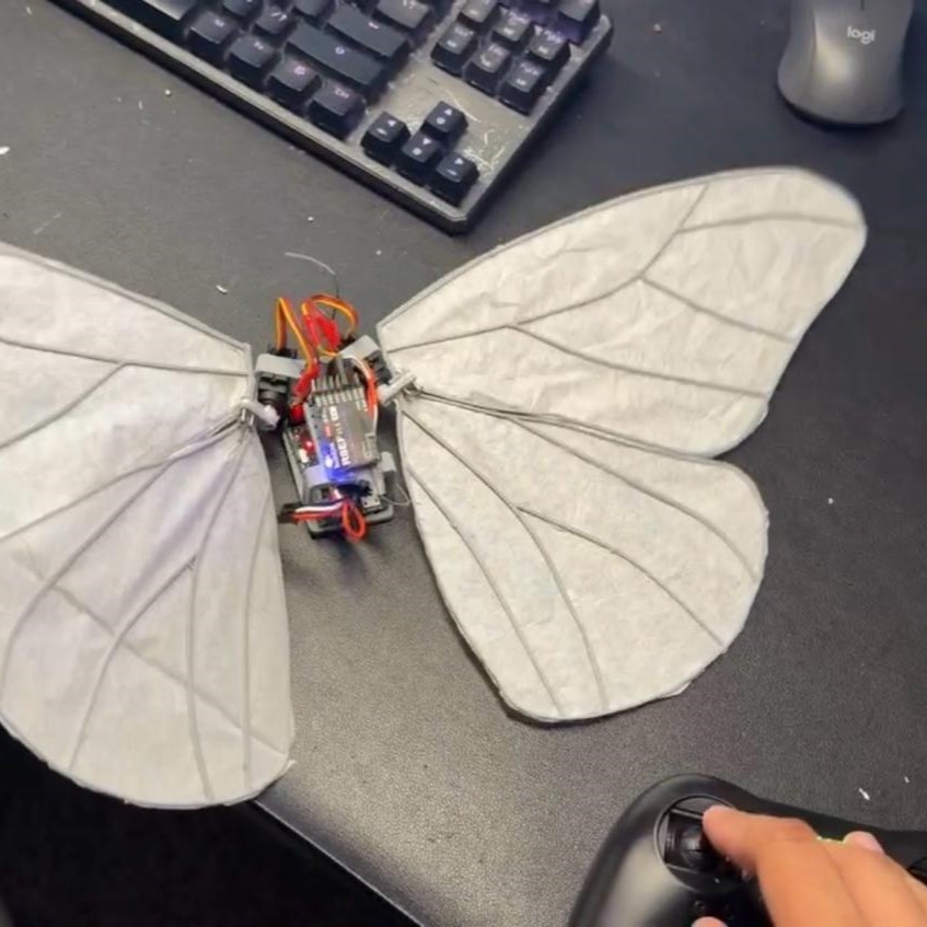 Ornithopter